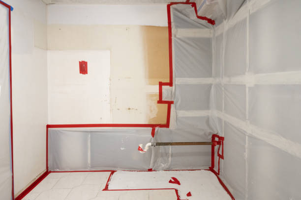 Best Mold Remediation for Vacation Homes  in USA